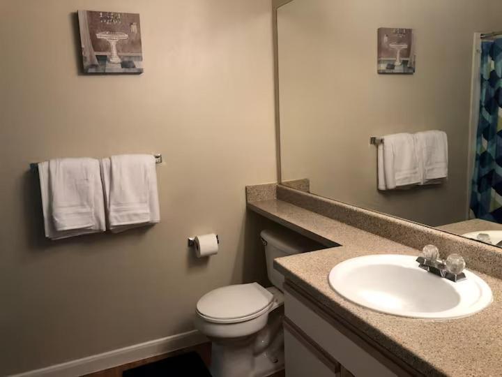 Lavish Apartment Near Houston Medical Centre Room photo